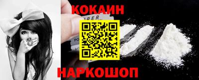 стафф Гатчина