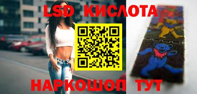 стафф Гатчина