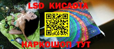 стафф Гатчина