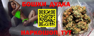 стафф Гатчина