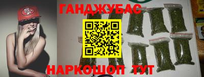 стафф Гатчина