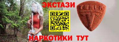 стафф Гатчина