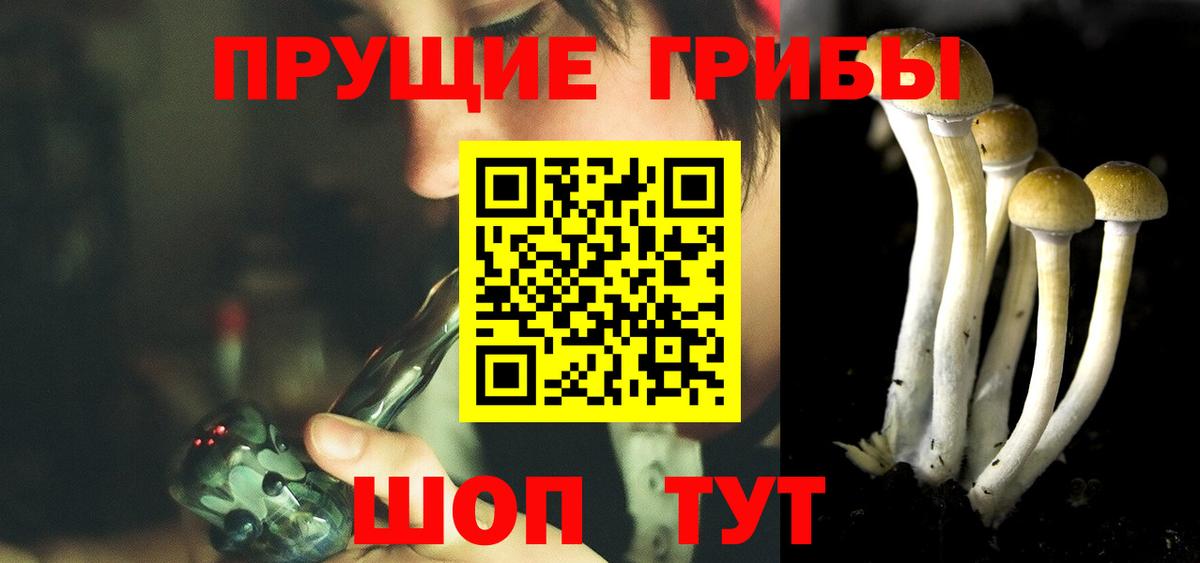 Галлюциногенные грибы Magic Shrooms Нальчик